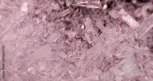 Microscopic 100x view shows natural H2C2O4 crystals in plants like rhubarb and their role in kidney stone formation. Important for calcium regulation studies photo