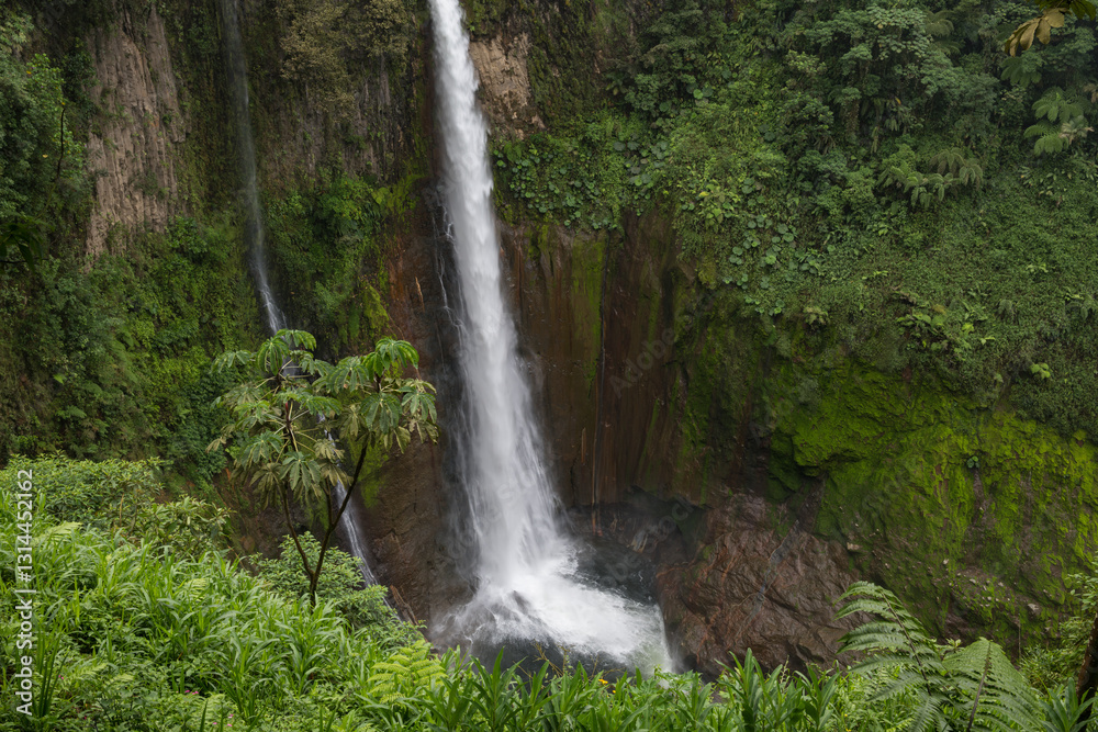 Obraz premium Toro Waterfall, Catarata Del Toro, Alajuela Province, Bajos Del Toro, Costa Rica