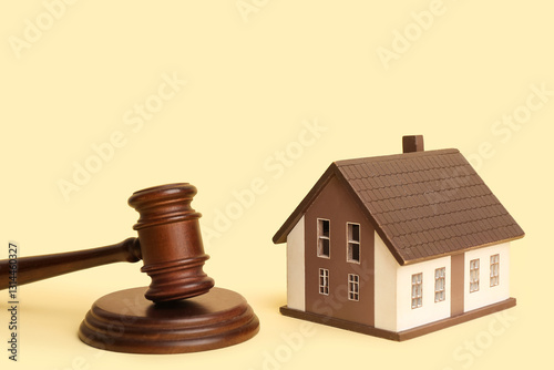 Judge's gavel and model of ...