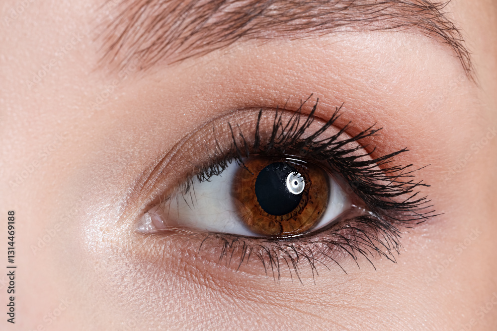 Naklejka premium Young woman with brown eyes. Closeup