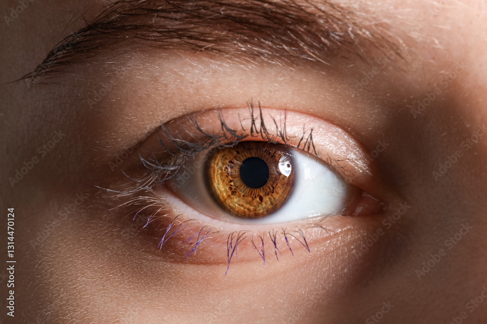 Naklejka premium Young woman with beautiful lashes and hazel eyes. Closeup