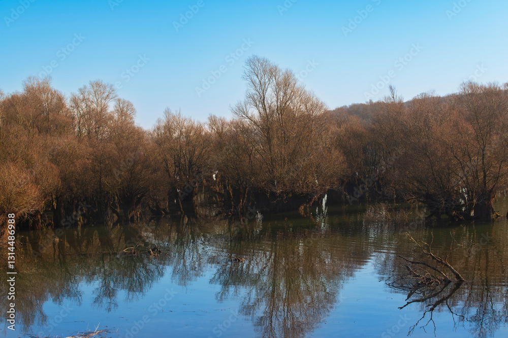 Obraz premium Lac d'orient and its vegetation in winter, reservoir lake of the Seine in the Aube department in France, in the nature reserve of the forêt d'orient in Champagne.