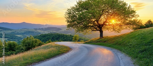 Obraz na płótnie Serene winding road through rolling hills at golden hour with a majestic tree silhouetted against the warm sunset sky casting a tranquil glow w salonie