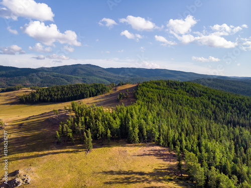 Landscape of Baihaba in summer in Altay region of Xinjiang, China photo