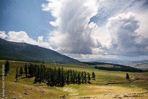 Landscape of Baihaba in summer in Altay region of Xinjiang, China photo