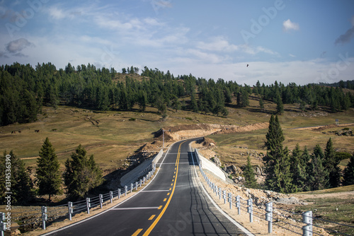 Landscape of Baihaba in summer in Altay region of Xinjiang, China photo