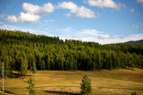 Landscape of Baihaba in summer in Altay region of Xinjiang, China photo