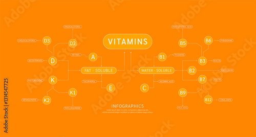 Fat Soluble and Water Soluble vitamins infographics on orange background. Multivitamin nutrients essential for health. Used for design dietary products. Medical science concept. Banner vector EPS10.