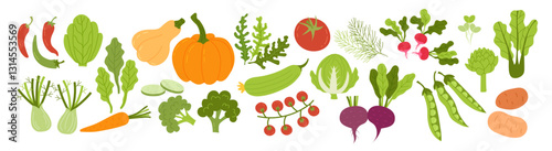 Vegetable icon. Cartoon food cooking ingredients. Green salad, tomato, carrot, fresh radish, spinach and pumpkin. Healthy diet doodle isolated elements. Natural vitamin ingredient. Vector flat set