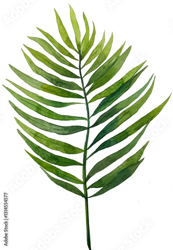 green leaf isolated on white