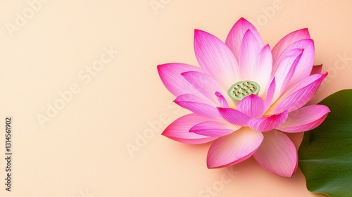Elegant Pink Lotus Blossom with Green Leaf against Light Background Symbolizing Serenity and Peace