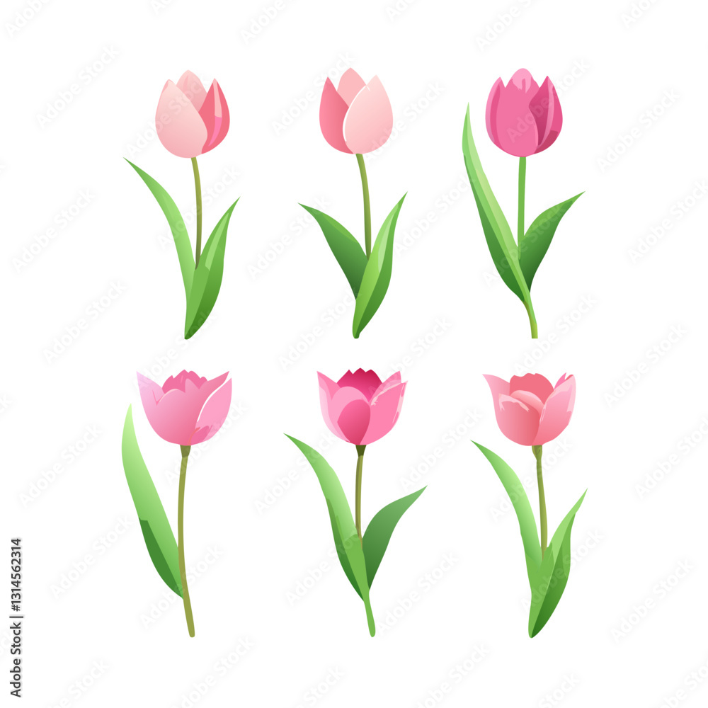 Pink Tulips in Bloom: a collection of six vibrant pink tulips with lush green leaves, arranged on a clean and minimalist style, illustrating springtime beauty. Pink Tulips in Bloom: a collection of six vibrant pink tulips with lush green leaves, arranged on a clean and minimalist style, illustrating springtime beauty.