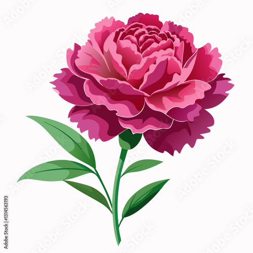Blooming Carnation: Capturing the intricate beauty of a single, vibrant carnation in full bloom, a symbol of love, admiration and distinction.