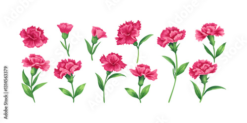 Crimson Carnations: A vibrant collection of watercolor carnations in various stages of bloom, capturing the delicate beauty of these beloved flowers. 