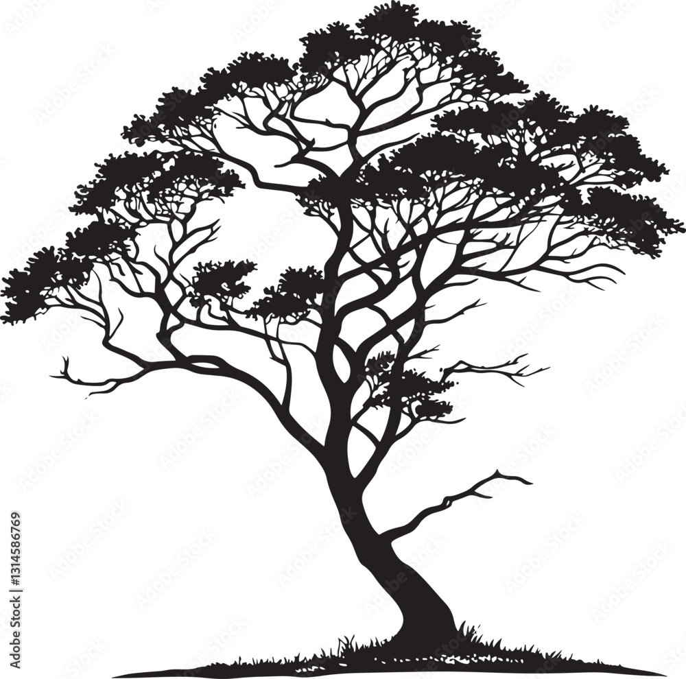 Fototapeta premium Brazilwood tree silhouette vector illustration