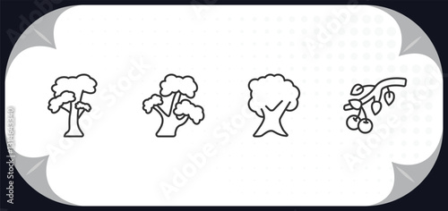 outline icons set - nature concept. slippery elm tree, bitternut hickory tree, butternut tree, black cherry