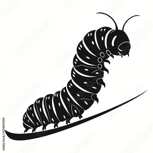 caterpillar on white background