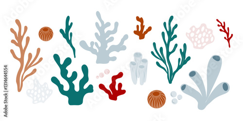 Hand drawn sea and ocean corals set of different shapes and colors