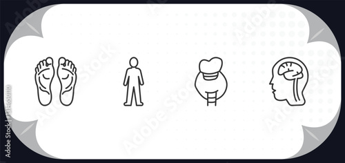 outline icons set - human body parts concept. human footprints, standing human body, thyroid, brain inside head.
