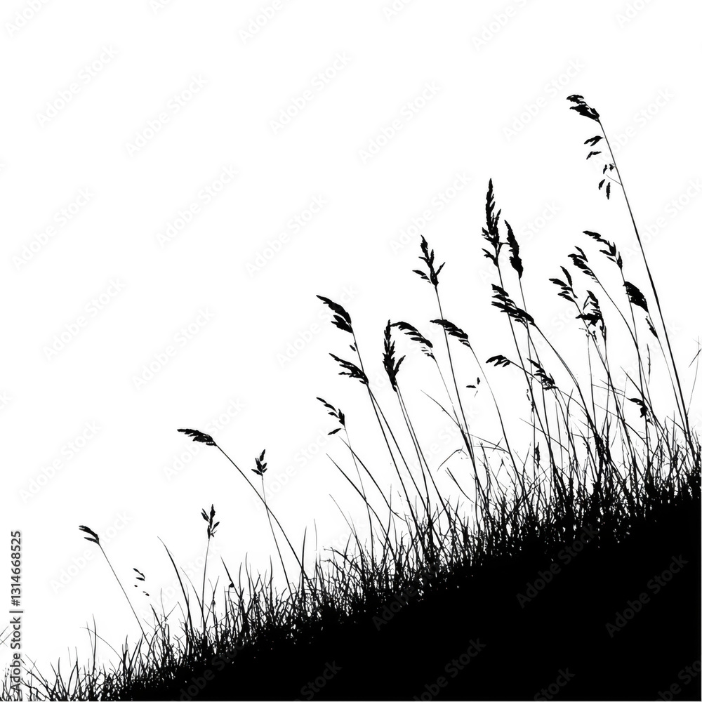 Obraz premium Delicate Grass Silhouettes Against Soft Sunset Sky Background