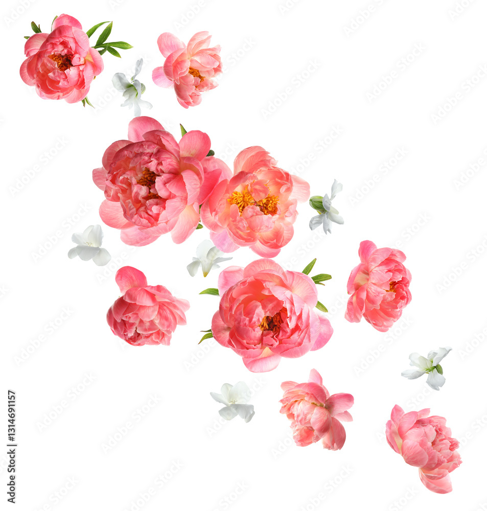 Naklejka premium Beautiful fresh flowers falling on white background