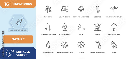 outline icons set - nature concept. branches with leaves, two roses and more.