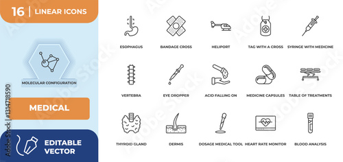 outline icons set - medical concept. molecular configuration, esophagus and more.