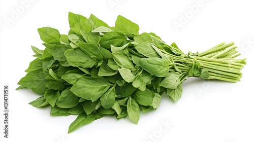 Thai Sweet Basil: Light Green Herb