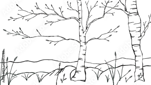 Old perishing tree isolated on white background