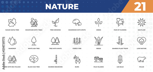 outline icons set - nature concept. sugar maple tree, mountains with trees and more.