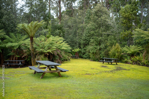 park bench in the forest in a national park photo