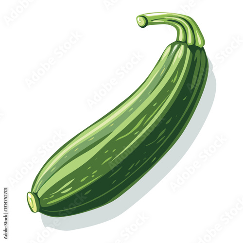 zucchini isolated on white background