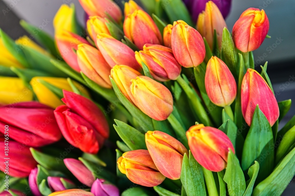 Obraz premium Bright Yellow and Red Tulips in Spring Market