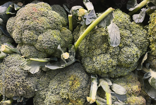 Fresh green broccoli in the market