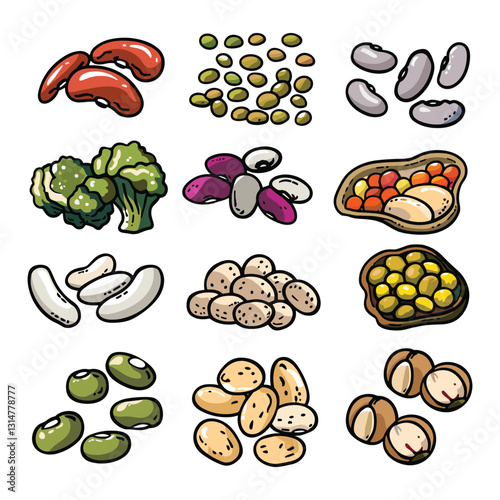 Hand-Drawn Legumes and Beans Vector Set - Organic Protein-Rich Food