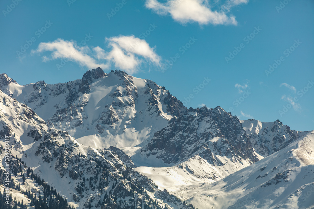 Fototapeta premium snow covered mountains in winter