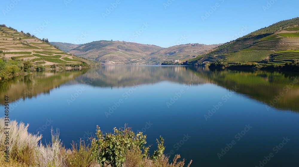Serene vineyard reflection on tranquil lake Serene vineyard reflection on tranquil lake