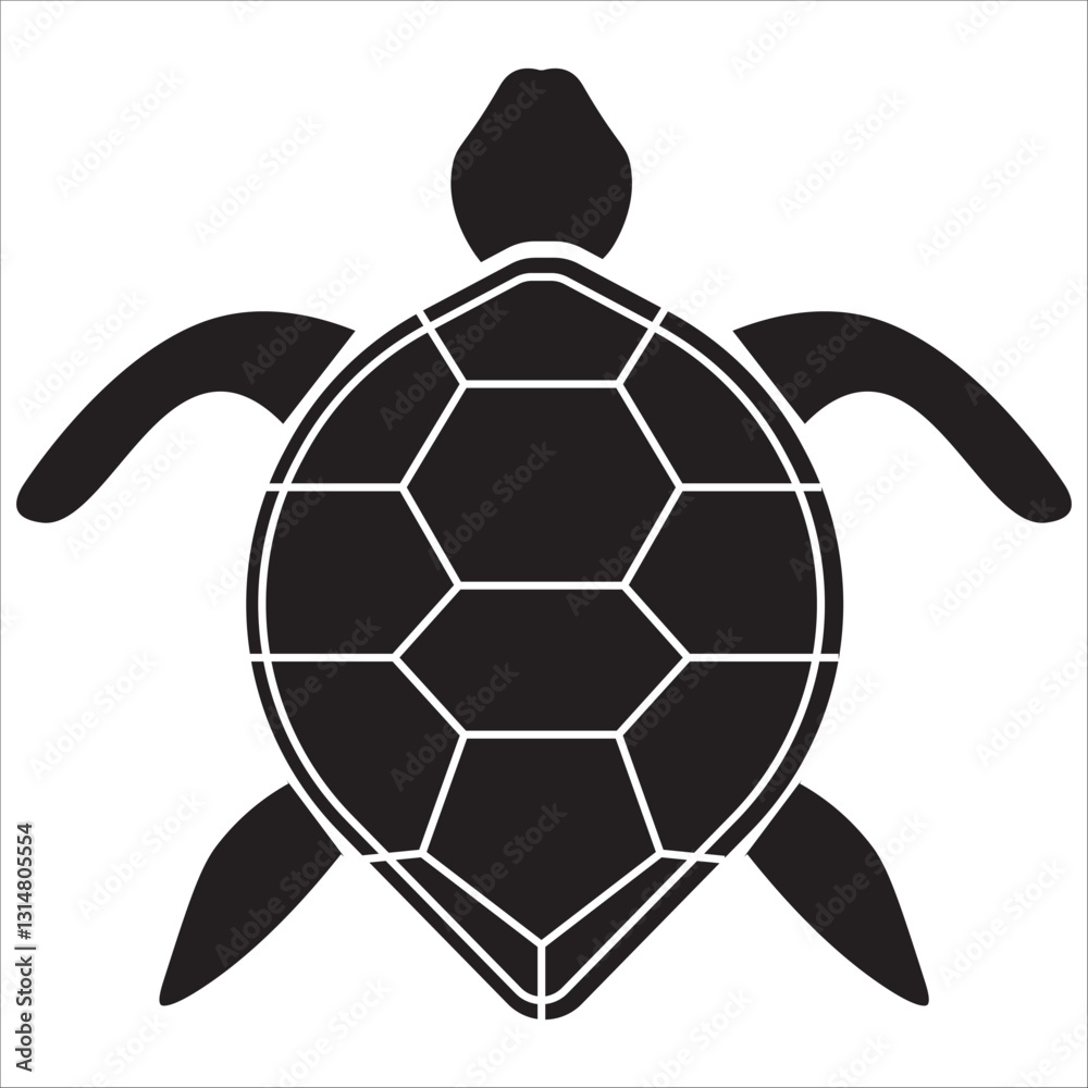 Obraz premium turtle vector illustration