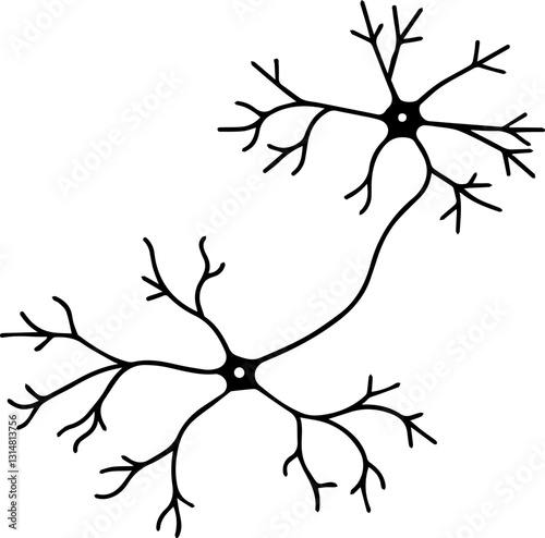 A black and white illustration of neuron-like structures with branching patterns, symbolizing connectivity and communication in the nervous system.