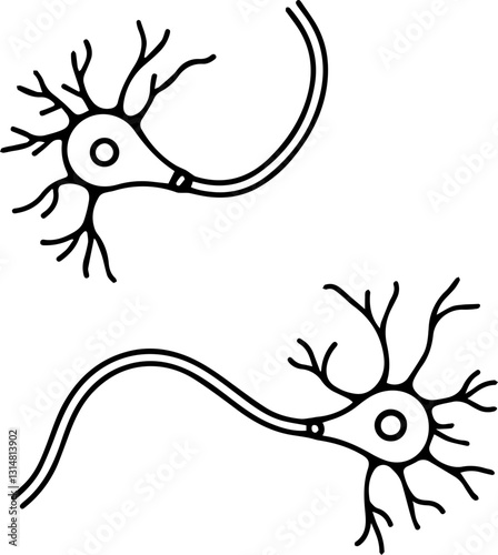 A simple illustration of two neurons with branching dendrites and an elongated axon, depicting the structure of nerve cells.