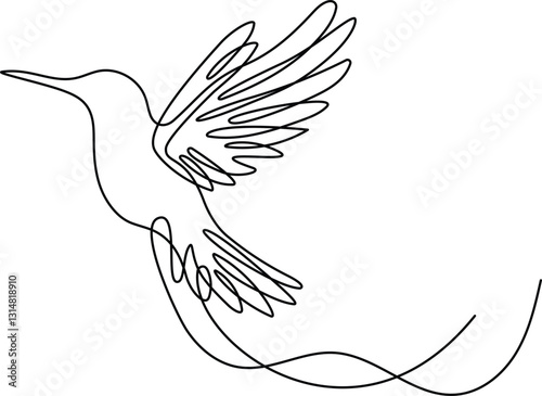 Hummingbird continuous one line drawing. Editable stroke on a white isolated background. Vector illustration