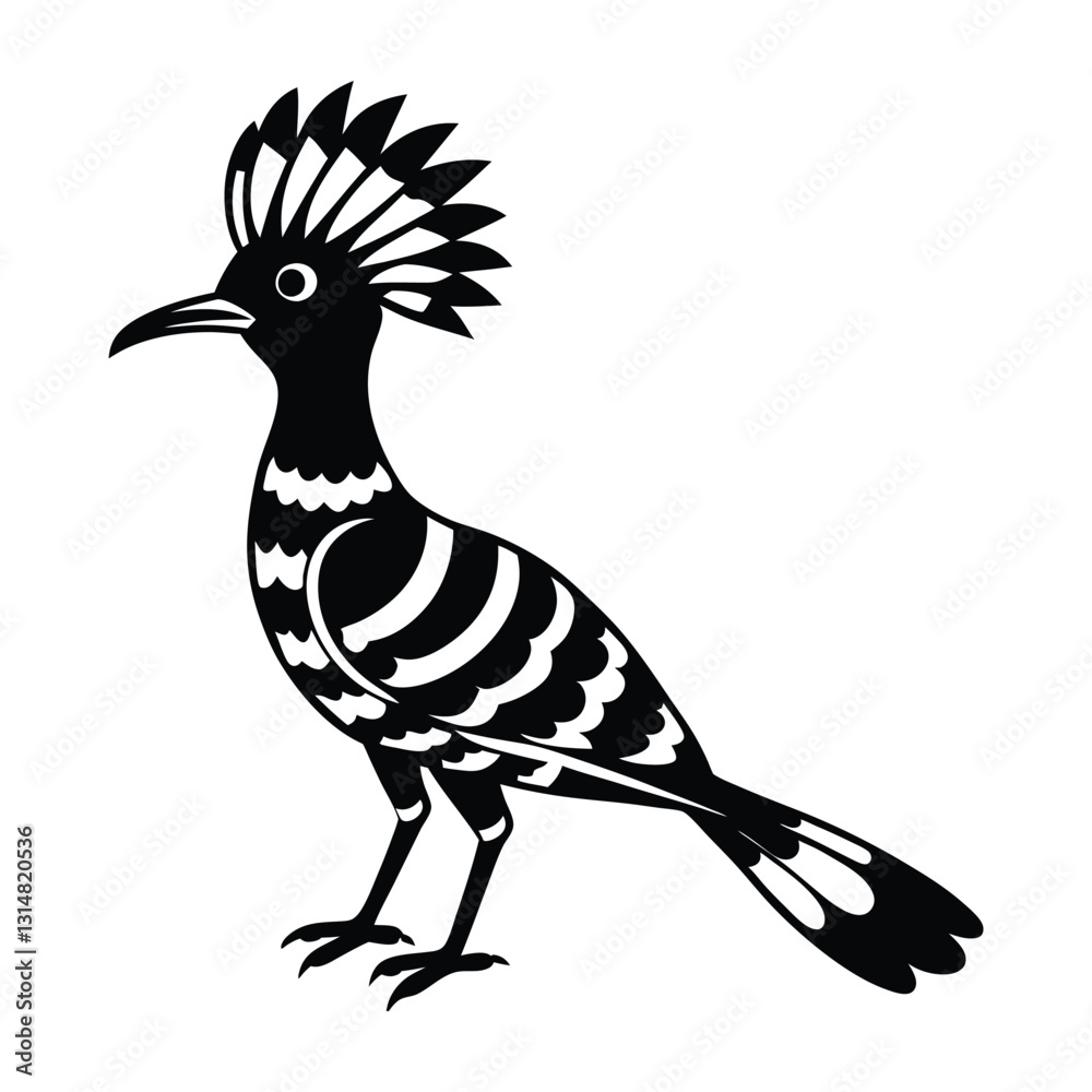 Fototapeta premium Hoopoe Standing with Distinctive Head Crest Silhouette