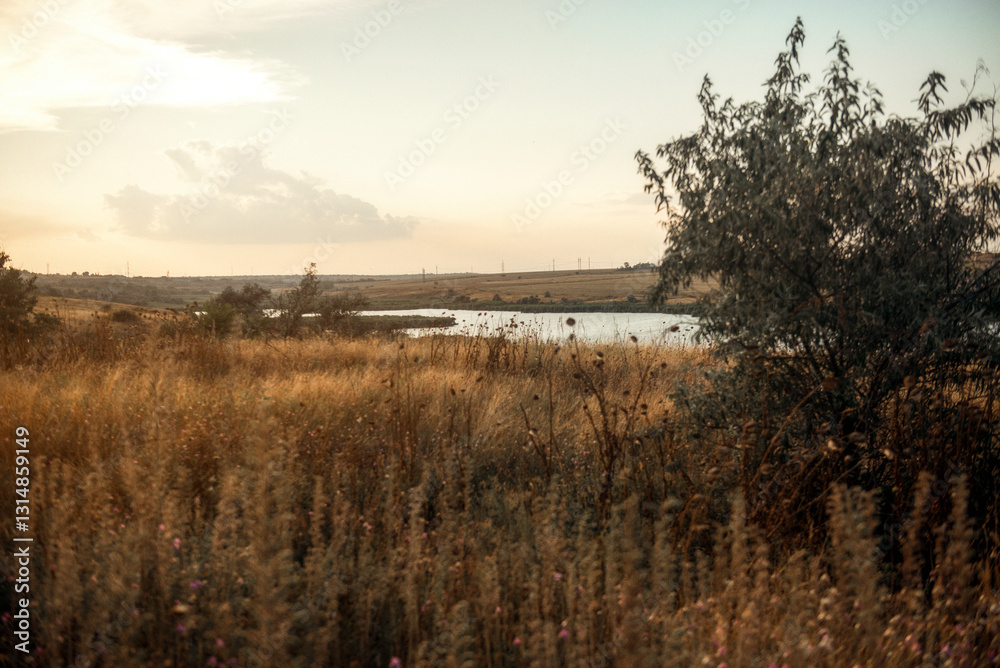 Fototapeta premium Stunning sunset over a serene grassy field in the foreground and a lake in the distance