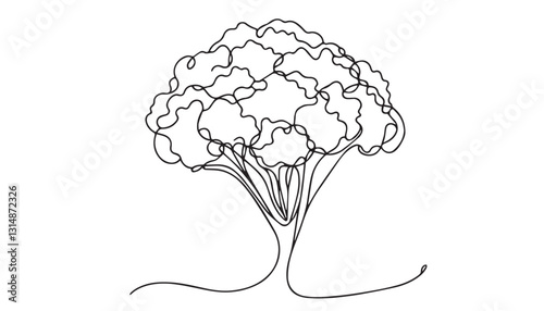 Continuous one single minimal line drawing Cauliflower 