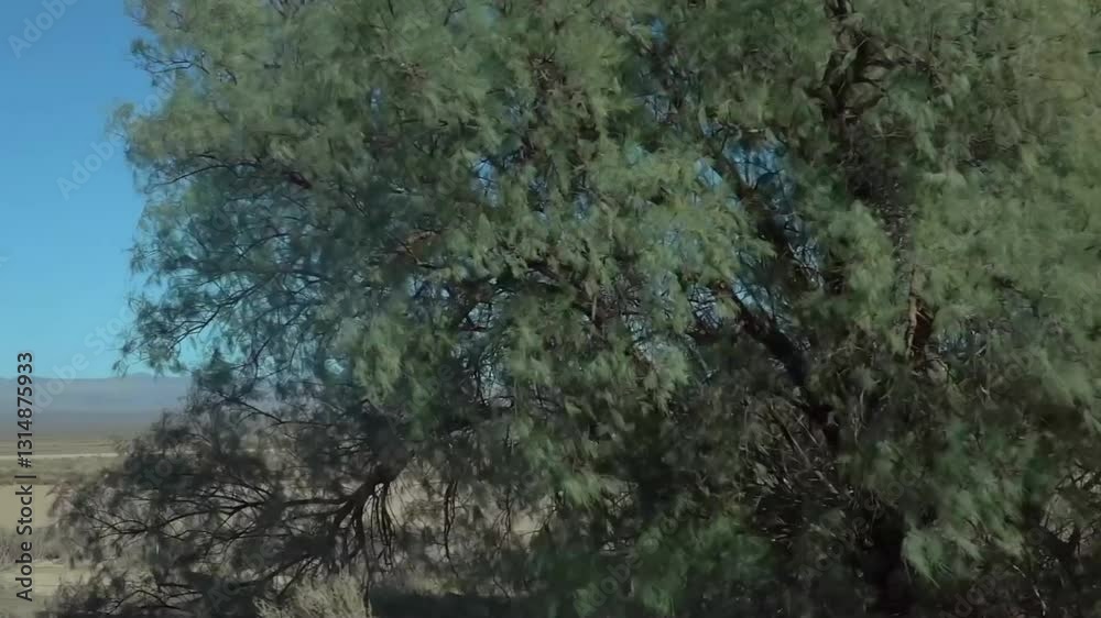 Arid desert landscape with sparse vegetation, distant mountains, and clear blue skies in slow motion 120fps Arid desert landscape with sparse vegetation, distant mountains, and clear blue skies in slow motion 120fps