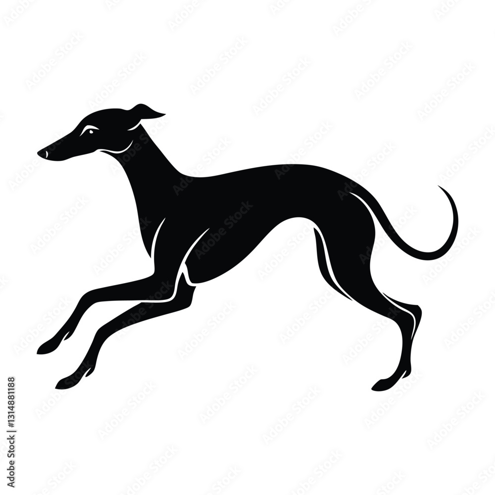 Fototapeta premium Whippet Sprinting with Aerodynamic Body Silhouette for Stock Illustration