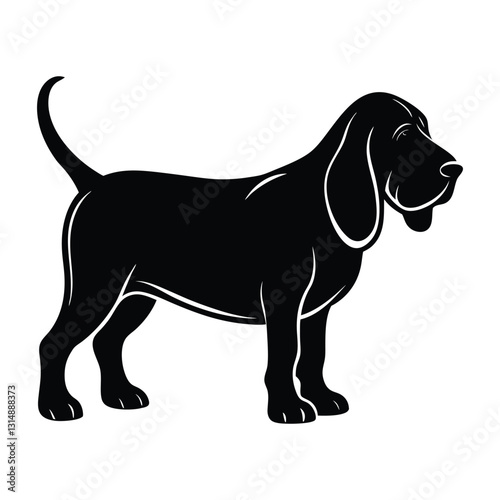 Bloodhound Sniffing the Ground with Droopy Ears Silhouette Isolated