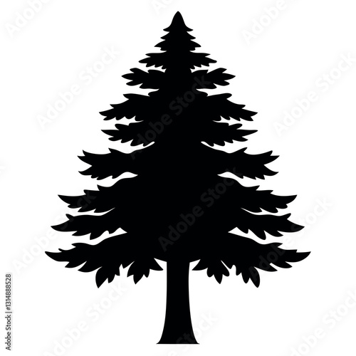 A wide conical pine tree with thick heavy.