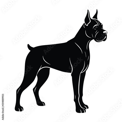 Boxer Dog Standing Firmly with Muscular Legs Silhouette Isolated