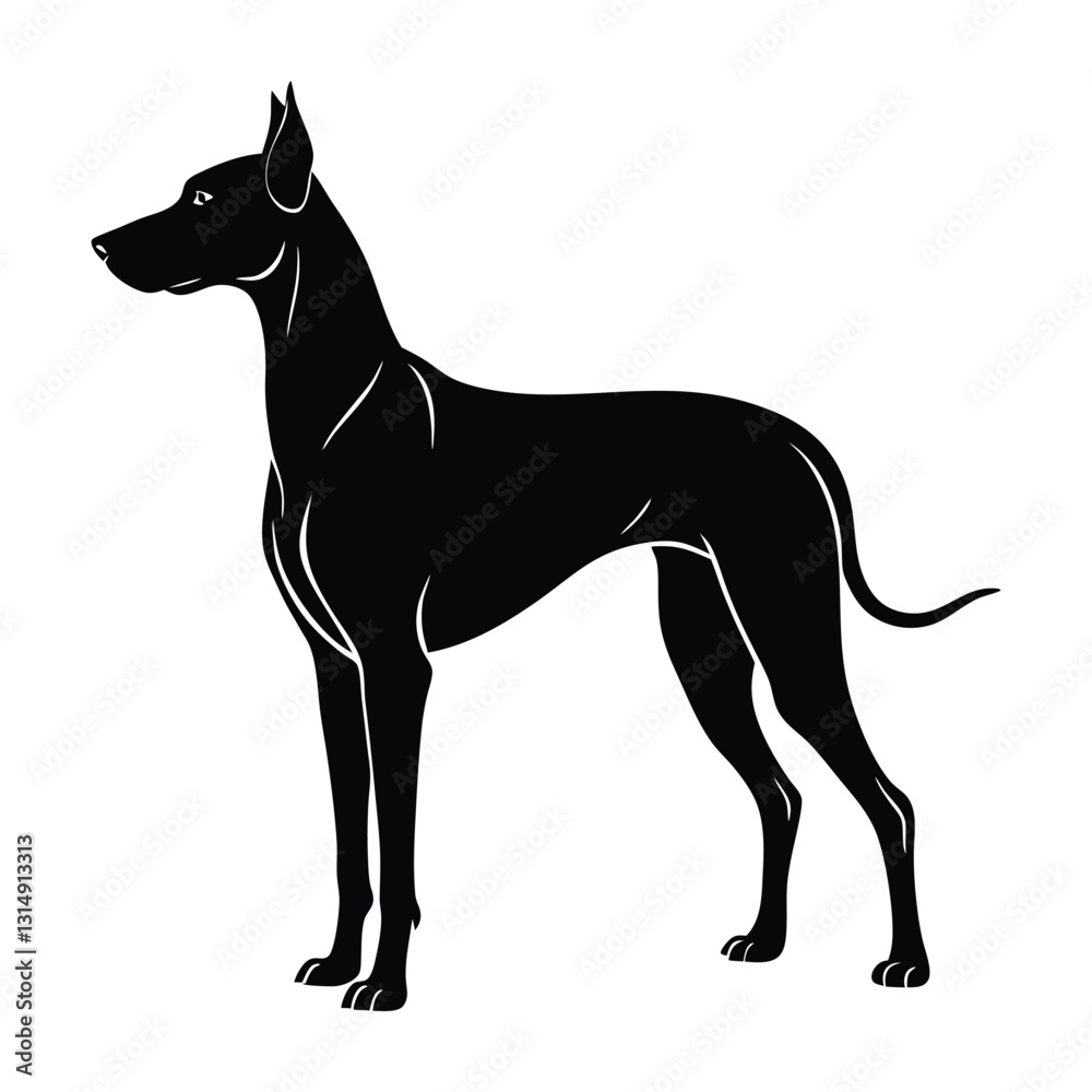 Obraz premium Great Dane Standing Tall with an Elegant Posture Silhouette on White Background